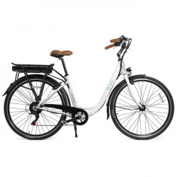 Bicicleta electrica youin you ride los angeles