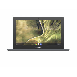 Portatil asus chromebook c204ma gj0342 cel n4020
