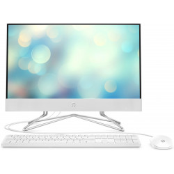 Ordenador all in one hp 22 df1004ns