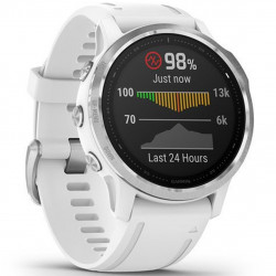 Reloj smartwatch garmin fenix 6s plata