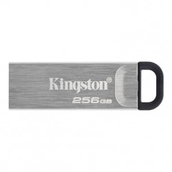 Memoria usb 32 kingston 256gb datatraveler