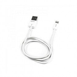Cable usb tipo a 20 a