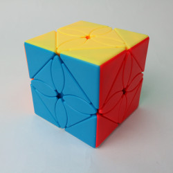 Cubo rubik moyu mofang jiaoshi maple